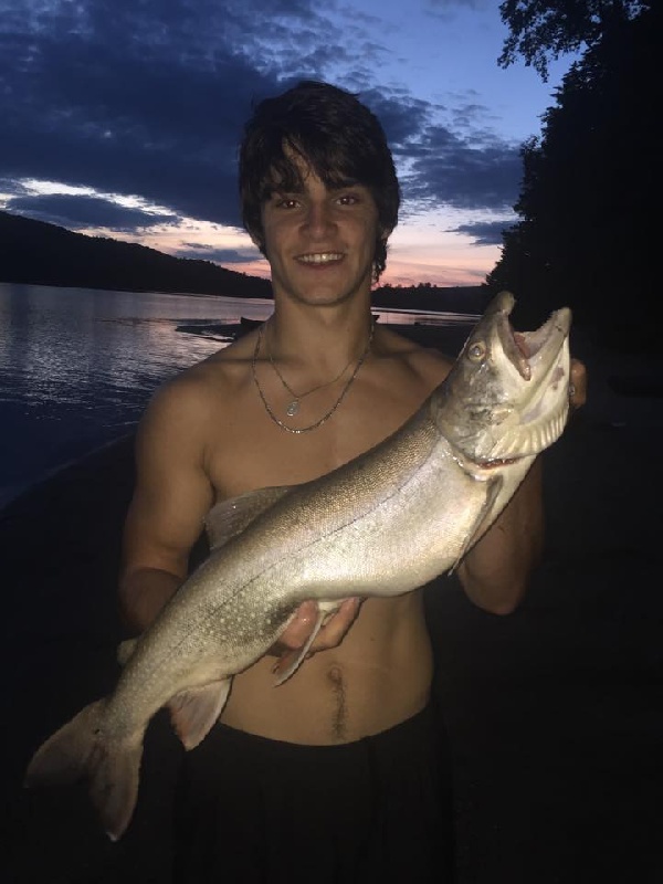 Maine Lake Trout