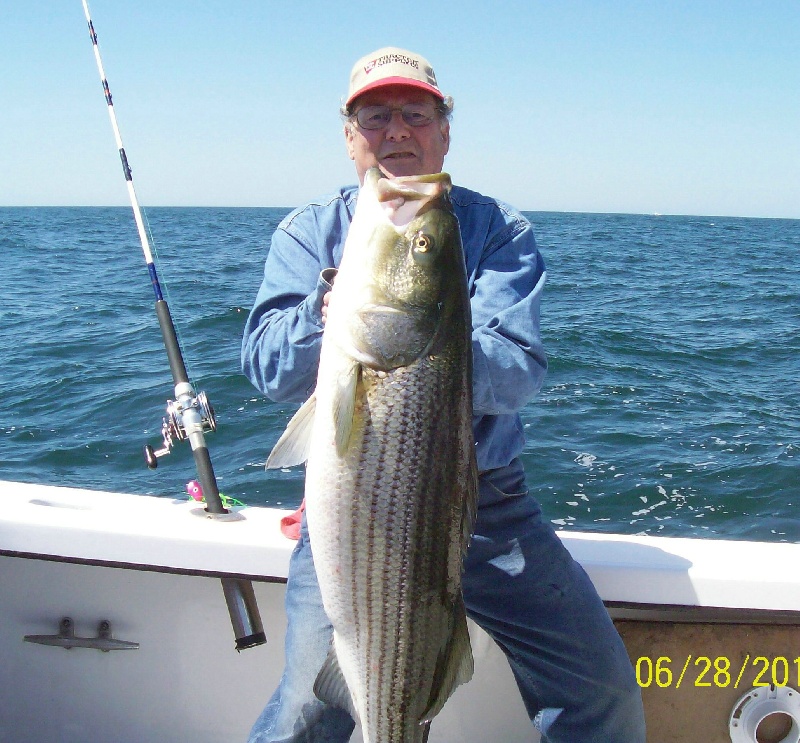 Block Island Striper