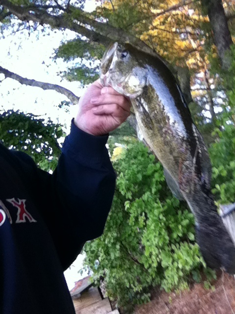 Dock Fishing